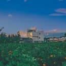 콴도제주 이미지