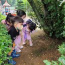 꿈드리유치원 이미지