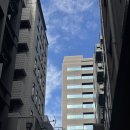 마츠 - 영천시 삼산길 10-6 | 도쿄 츠지한 니혼바시 본점 마츠 카이센동 후기(+메뉴/가격)