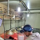 한라사료 이미지