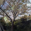 I.N.G 스크린골프 | 동화속 유럽 정원같았던 제주 웨딩홀 결혼식장 : 헤리스가든 결혼식장