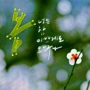 빠숑 이미지