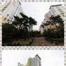 충효공인중개사사무소 이미지