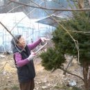 태기산농장 이미지