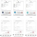 엔조이코리아 이미지