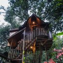 고향마을민박 이미지