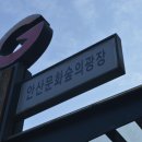 라임치과교정과치과의원 이미지