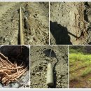 강매농장 이미지