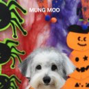 MUNG MOO 이미지