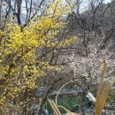 서경엔지니어링주