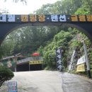 대궐애견카페