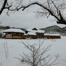 왕곡마을 이미지