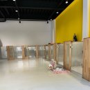 댕굴댕굴 이미지