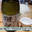 강남횟집 - 여수시 | 강남횟집
