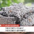 춘향골식품 이미지