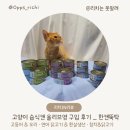 먹보유통 | 올리브영 고양이 용품 습식캔 | 펫토리아 한캔뚝 딱 급여 후기