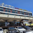 현충원로(유성-20) 이미지