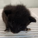 GS25홍대은하점 이미지