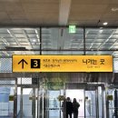 힐링약국 | 주말 힐링 용산역 데이트 코스 추천🤍🌸💝 | 창고형약국 메디킹덤약국·도파민스테이션·용산가족공원...