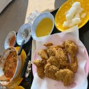 메인독 | 글램독 그라운드 파주점｜애견운동장 넓은 애견카페, 떡볶이·치킨 후기