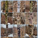 구룡산성九龍山城 | 300. 한국 500대명산 207. 청주 구룡산(九龍山)...​