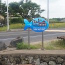 올레바당체험마을 이미지