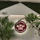 비비큐 시흥본점 | [시흥/거북섬 맛집] 오션뷰 해산물 폭탄 LA코코보일링 거북섬 본점 솔직후기