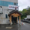 판교로552번길 | 야탑 맛집 착한낙지, 스트레스 날리는 매콤한 불맛 후기 (얼음 막걸리 공짜!)