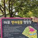 서울 마포 난지 반려견 캠핑장 추천 예약, 데크존, 울타리, 한강공원, 치킨 후기