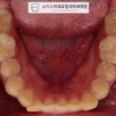 뉴티스치과교정과치과의원 이미지