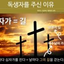 요한카오일