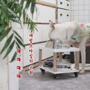지음인테리어 - 화성시 화산로45번길 6 | 지음인테리어