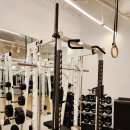 나무트레이닝 이미지