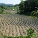 희망농장2 이미지