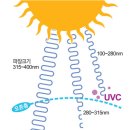 안티에이징의원 이미지