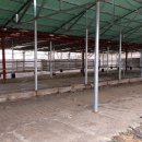 용성축사 이미지