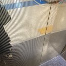 제줏댁 | 일상_5/16~5/22 (병문안,모찌,트봉맘,쏙파,제줏댁,범죄도시2,국슈,베롱사고) 포스팅50개 달성ㅊㅋㅊㅋ...