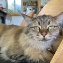 코코코게스트하우스 이미지