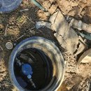 디엠에스 이미지