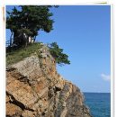 바다부채길1 이미지