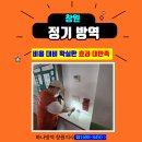 바람방역방제 | 창원 정기방역 비용 대비 확실한 효과에 대만족!