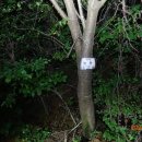 청임축산 이미지