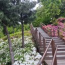 오솔길근린공원 이미지