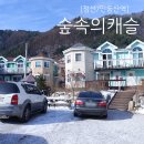 숲속의 캐슬 이미지