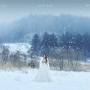 윙크성형외과의원 이미지