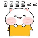 박찬헤어 이미지