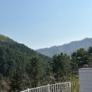 연화도감 이미지