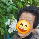 이당로 | 군포 요양원 추천, 부모님을 안심하고 맡길 수 있는 카네이션요양원 솔직 후기