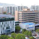 포그니코리아 이미지