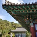 가람조경 - 서산시 남원3길 14 | 가람조경